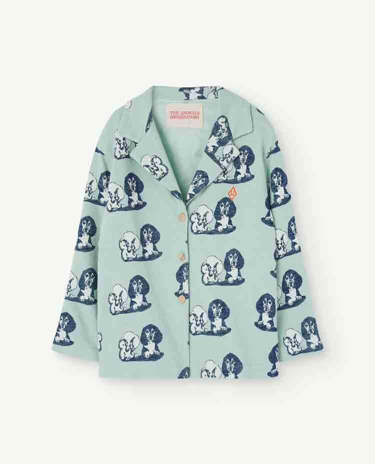 Turquoise Falcon Blazer COVER