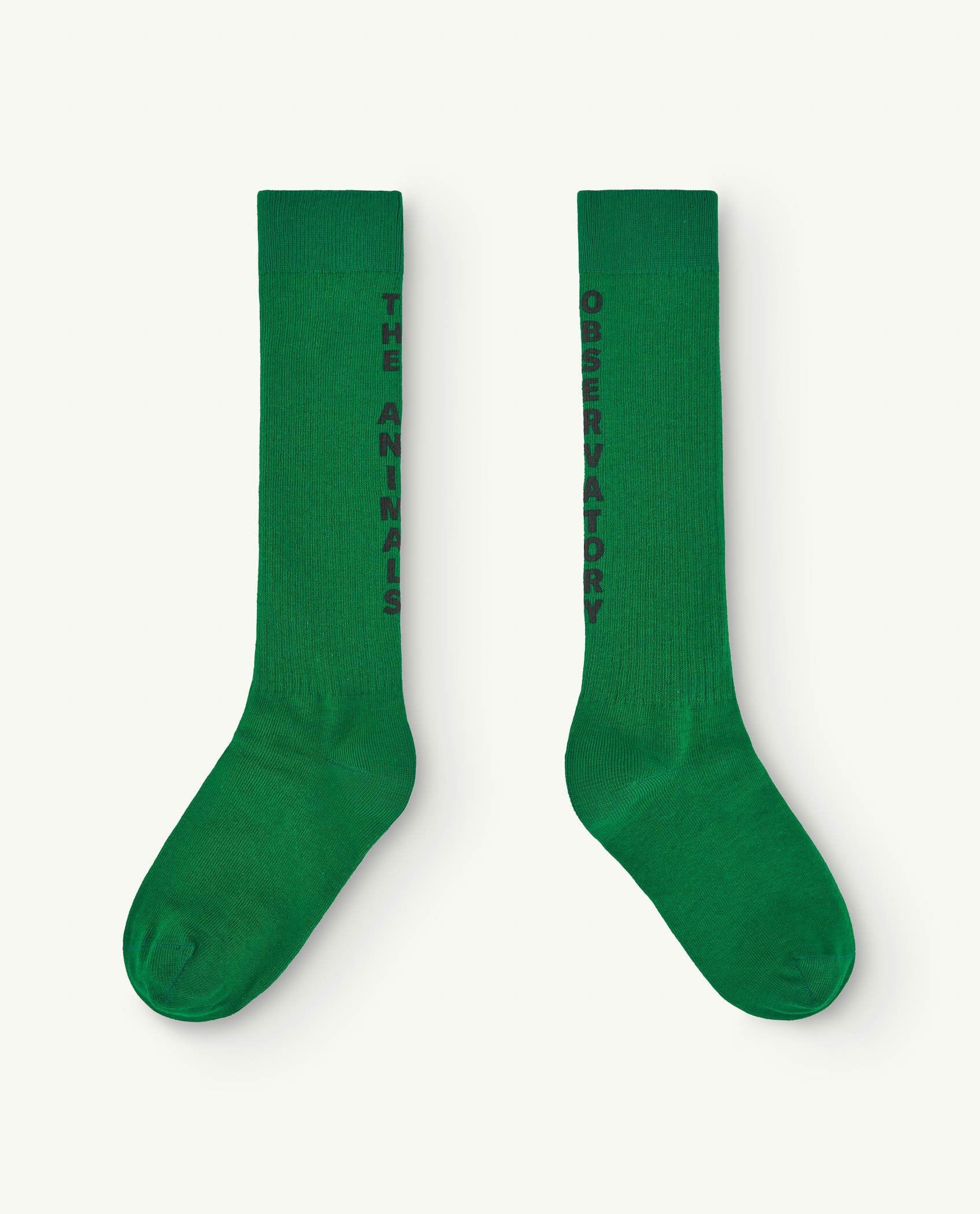 Green Worm Socks PRODUCT FRONT