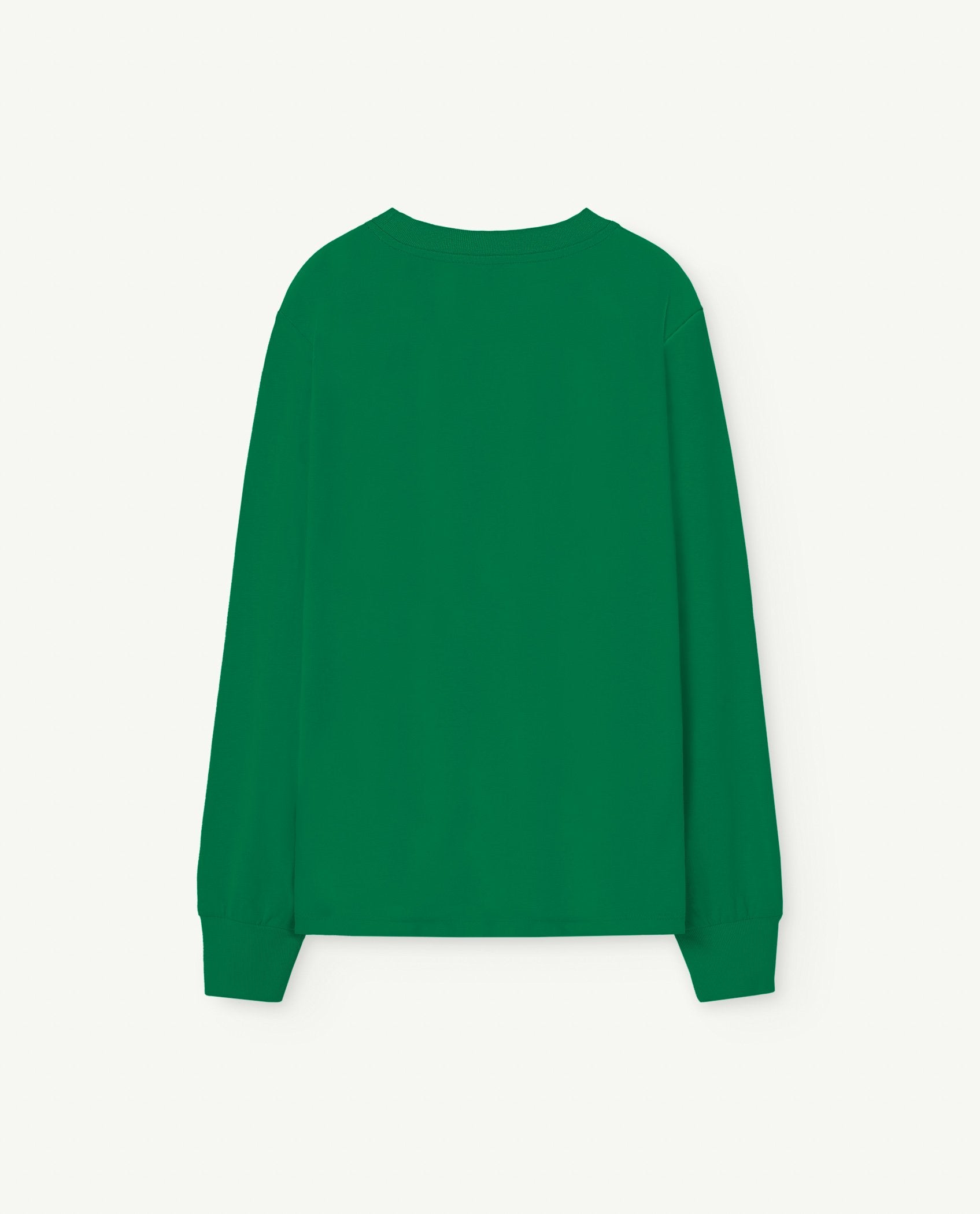 Green Aries Kids Long Sleeve T-Shirt PRODUCT BACK