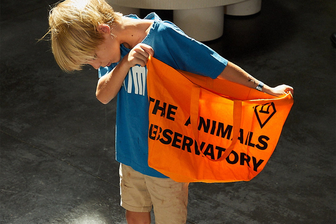 What they say about The Animals Observatory