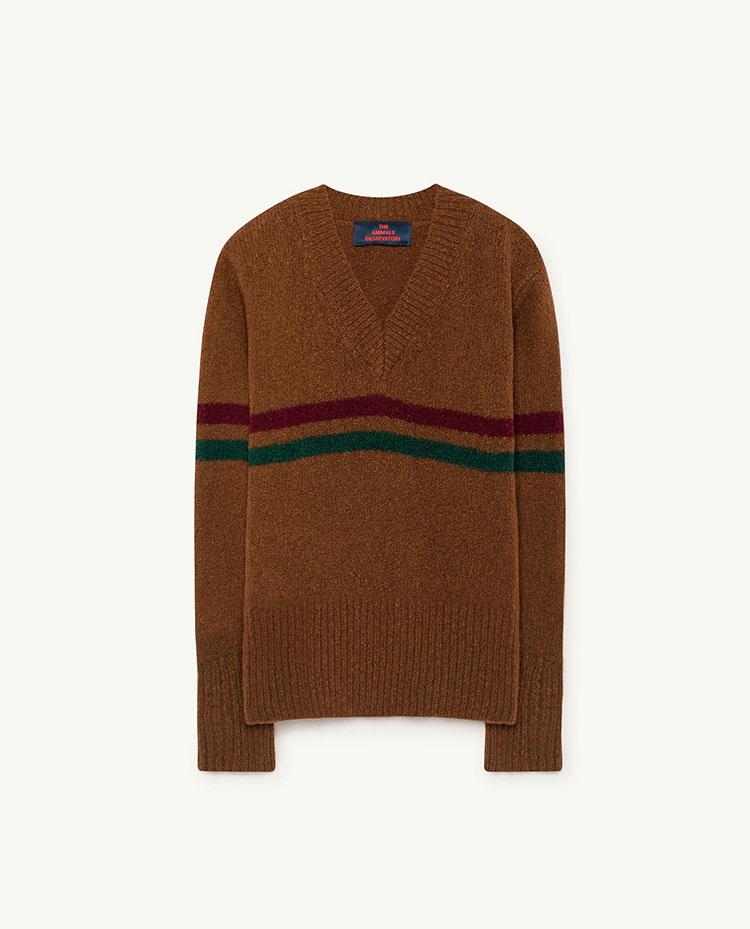 Brown Toucan Sweater COVER