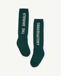 Green Worm Kids Socks
