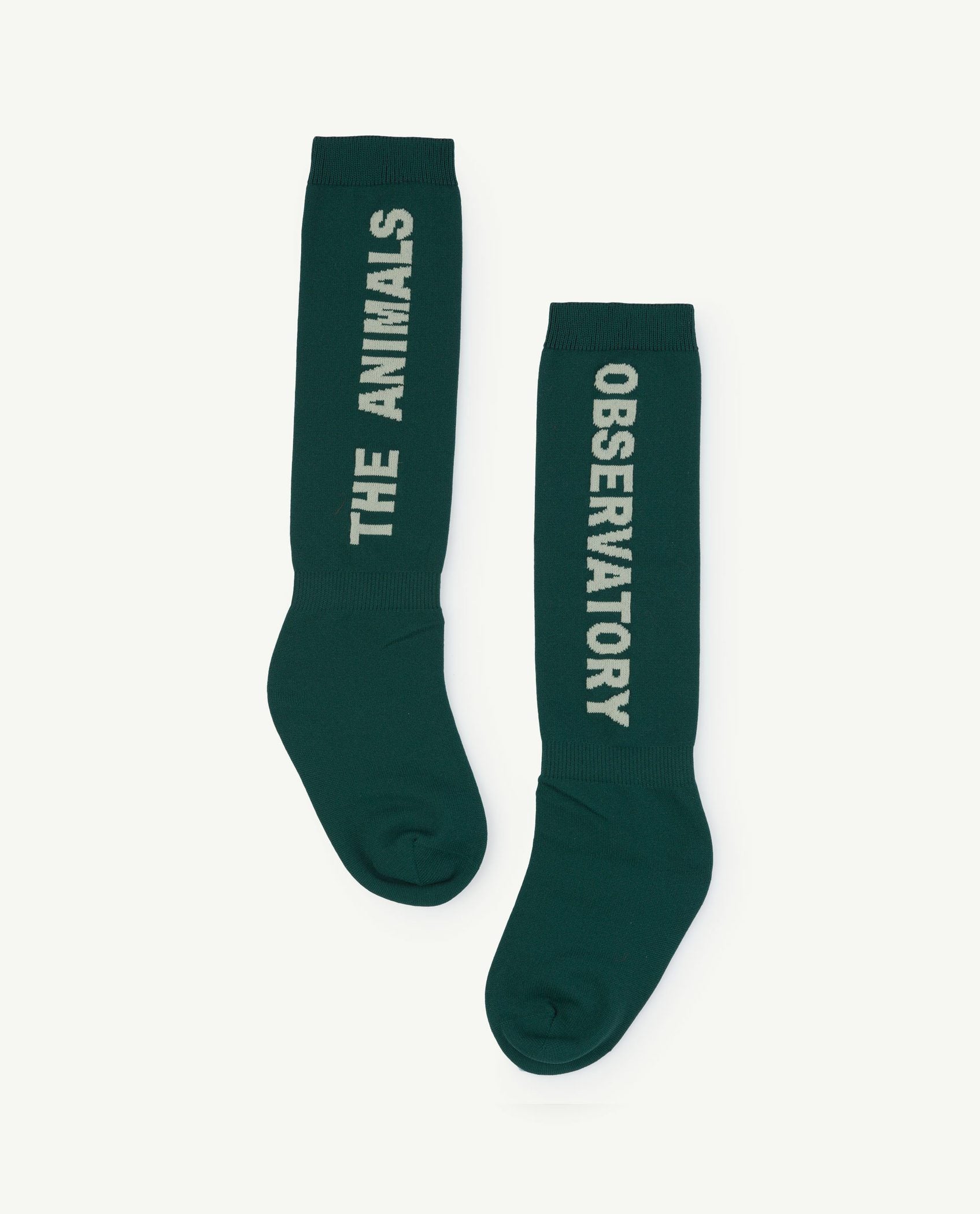 Green Worm Kids Socks PRODUCT FRONT