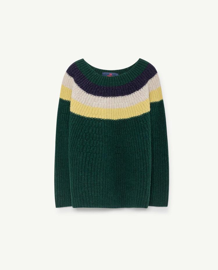 Green Raven Sweater COVER