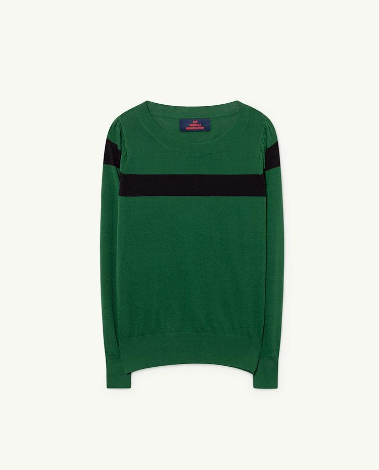 Green Condor Sweater COVER