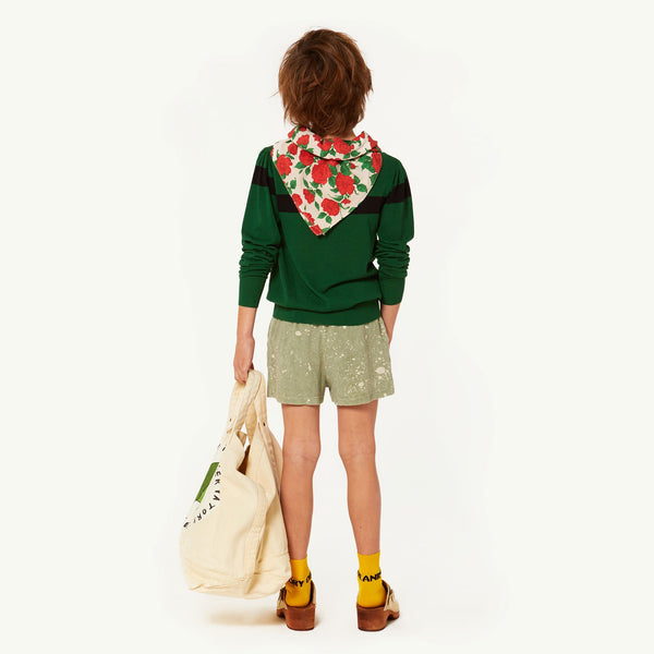 Green Condor Sweater MODEL BACK