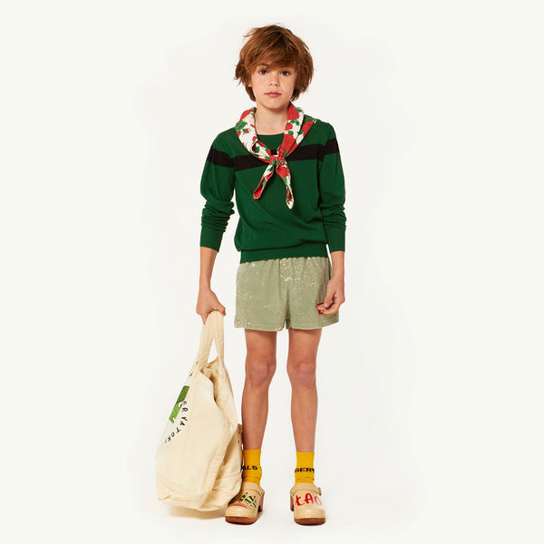 Green Condor Sweater MODEL FRONT