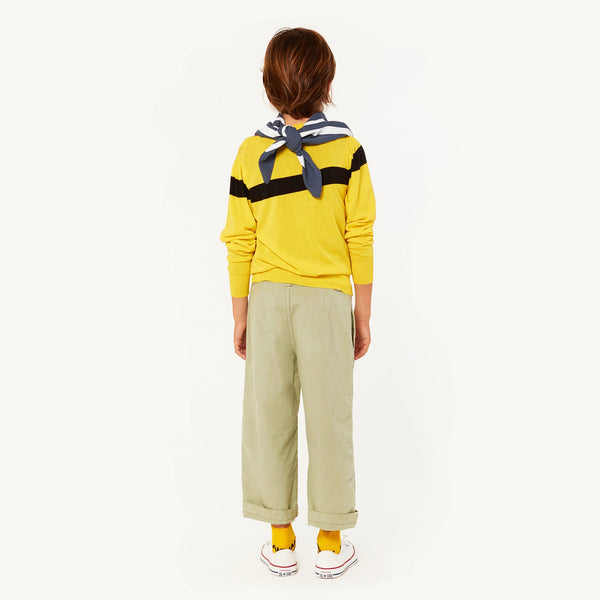 Yellow Condor Sweater MODEL BACK
