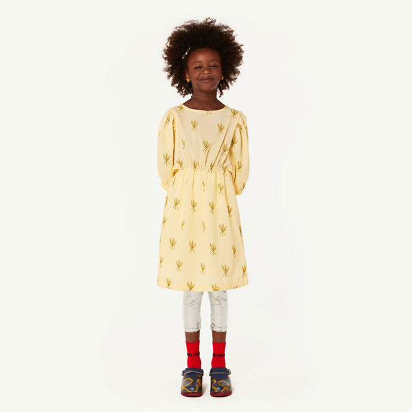Blue Clogs Shoes MODEL FRONT