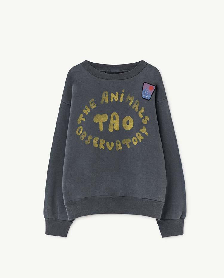 Blue Bear Sweatshirt COVER