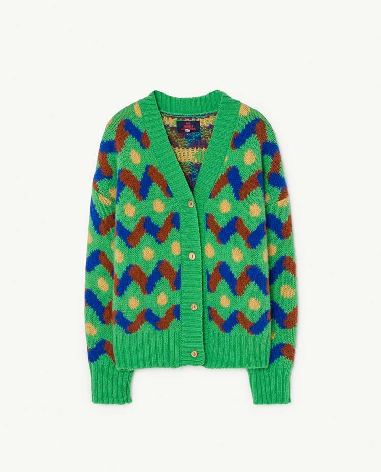 Green Multicolor Racoon Cardigan COVER