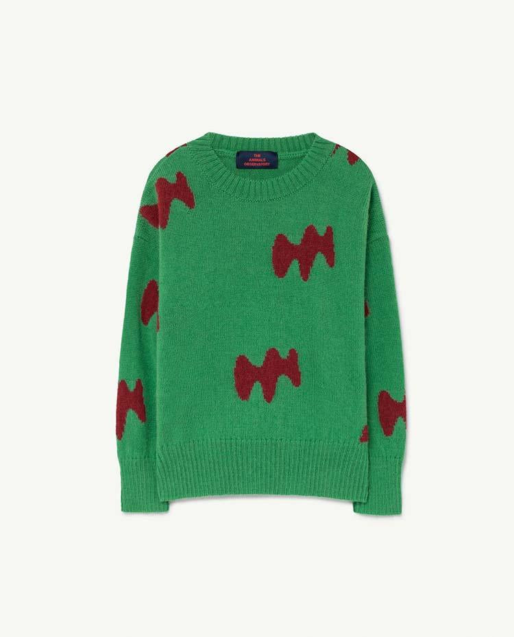 Green Raven Sweater COVER