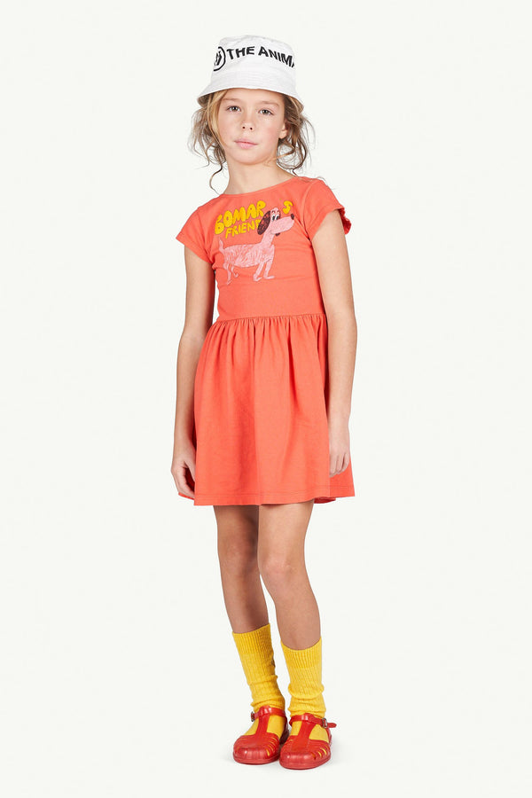 Red Butterfly Dress MODEL FRONT