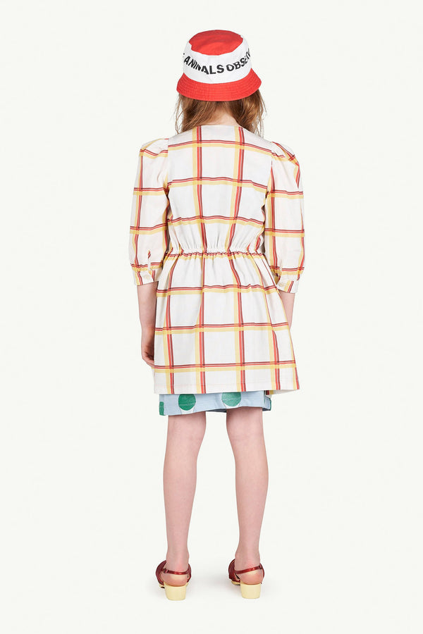 Checkered Tortoise Dress MODEL BACK