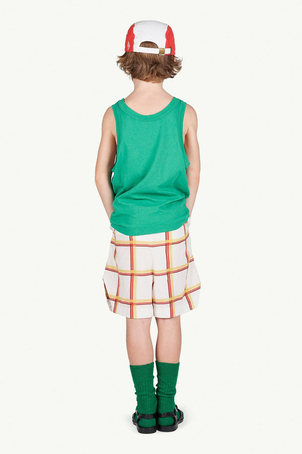 Checkered Duck Bermudas MODEL BACK
