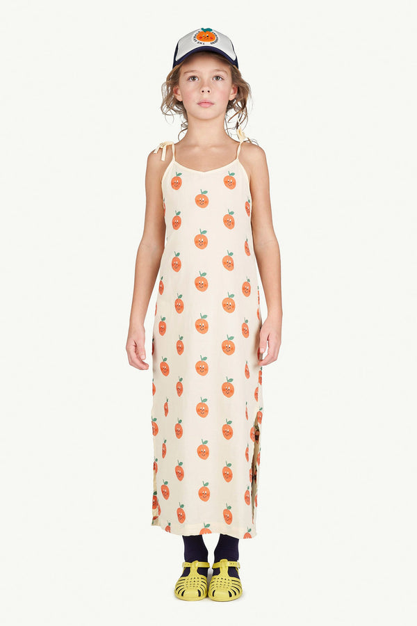 Fruit Hummingbird Dress MODEL FRONT