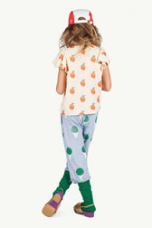 Fruit Parakeet Blouse MODEL BACK