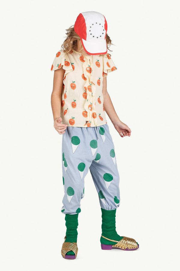 Fruit Parakeet Blouse MODEL FRONT