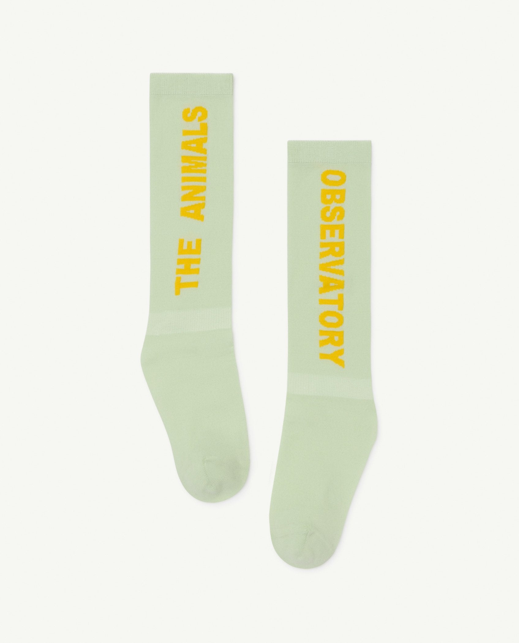 White Worm Socks PRODUCT FRONT