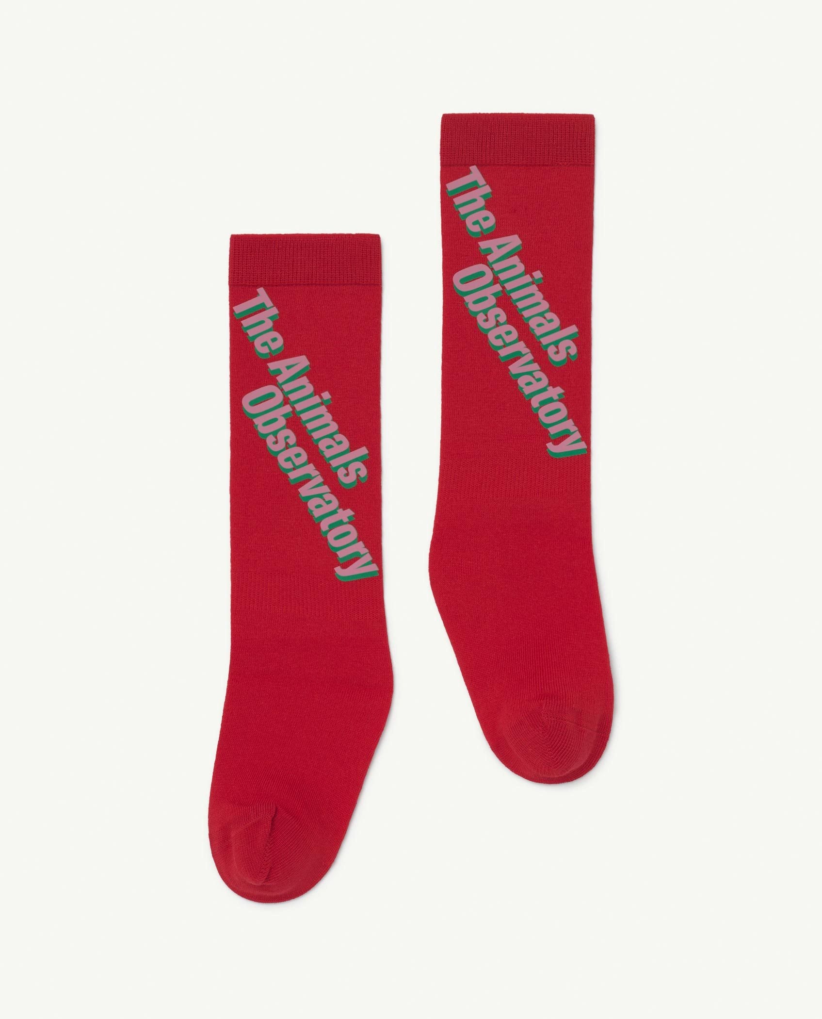 Red Celebrate Worm Socks PRODUCT FRONT