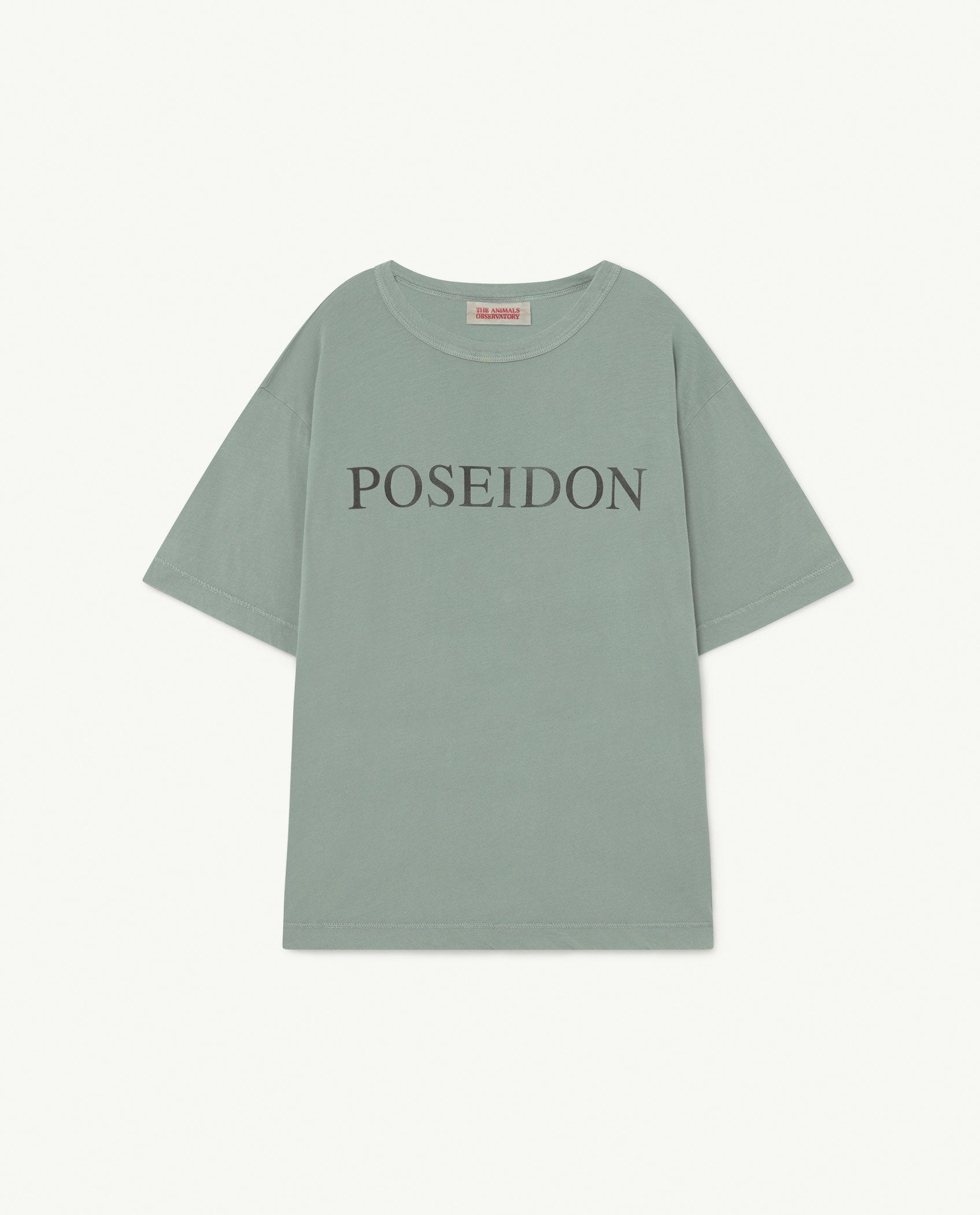 Soft Green Poseidon Rooster Oversize T-Shirt PRODUCT FRONT