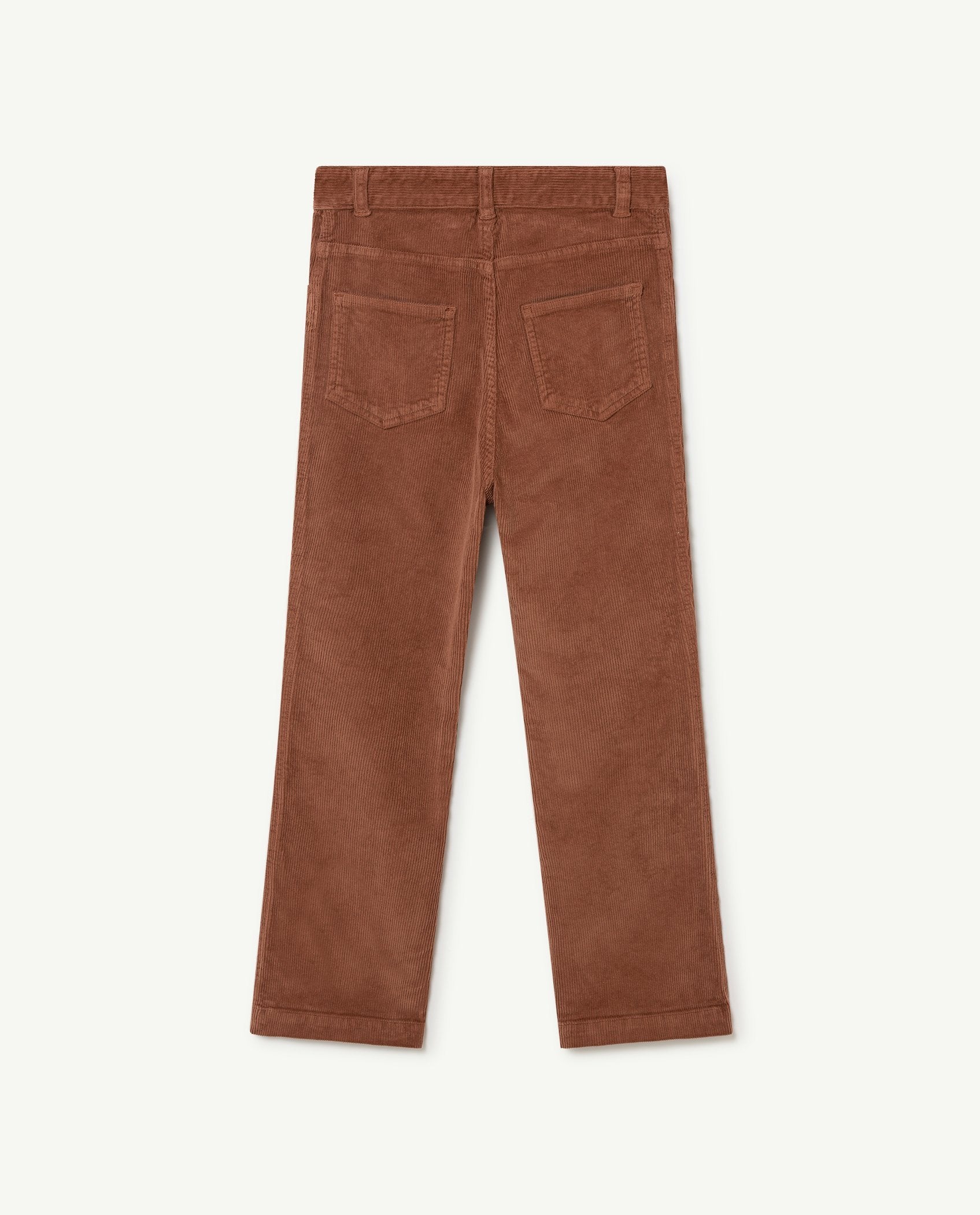 Brown Logo Porcupine Trousers PRODUCT BACK