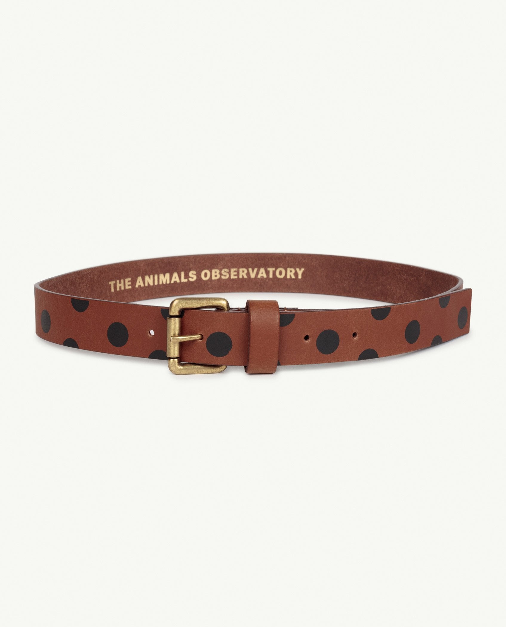 Brown Dots Ibis Belt PRODUCT FRONT