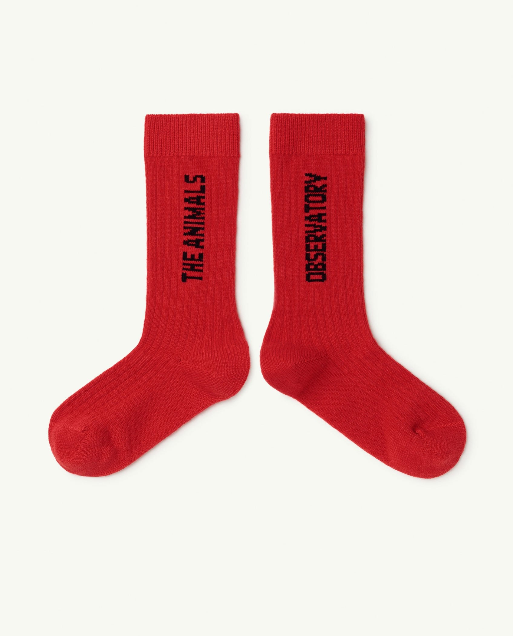 Red Worm Socks PRODUCT FRONT