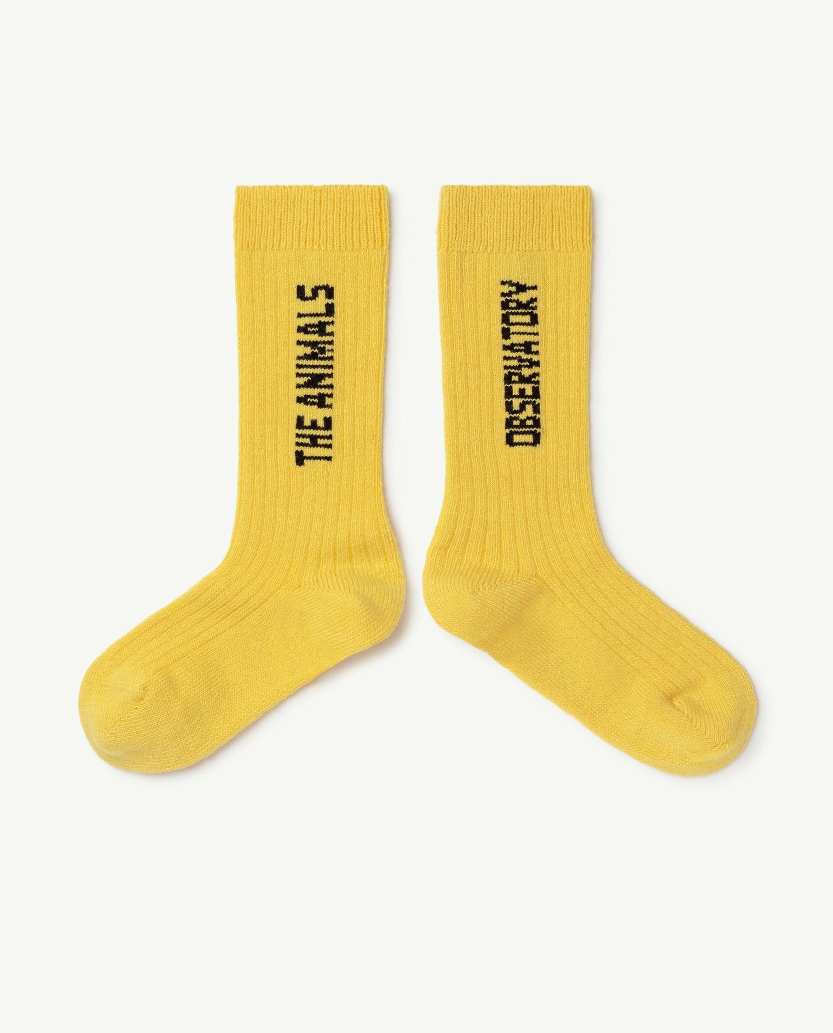 Yellow Worm Socks PRODUCT FRONT