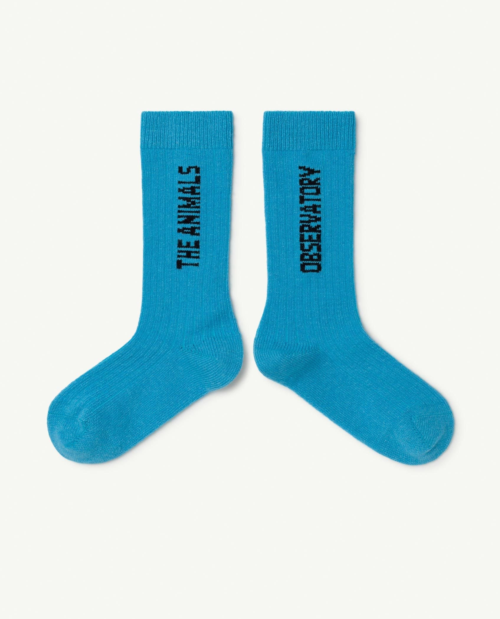 Blue Worm Socks PRODUCT FRONT