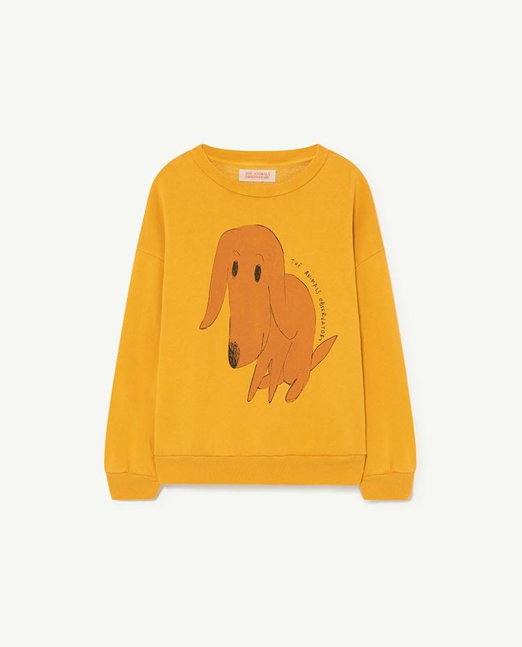 Yellow Dog Bear Sweatshirt COVER