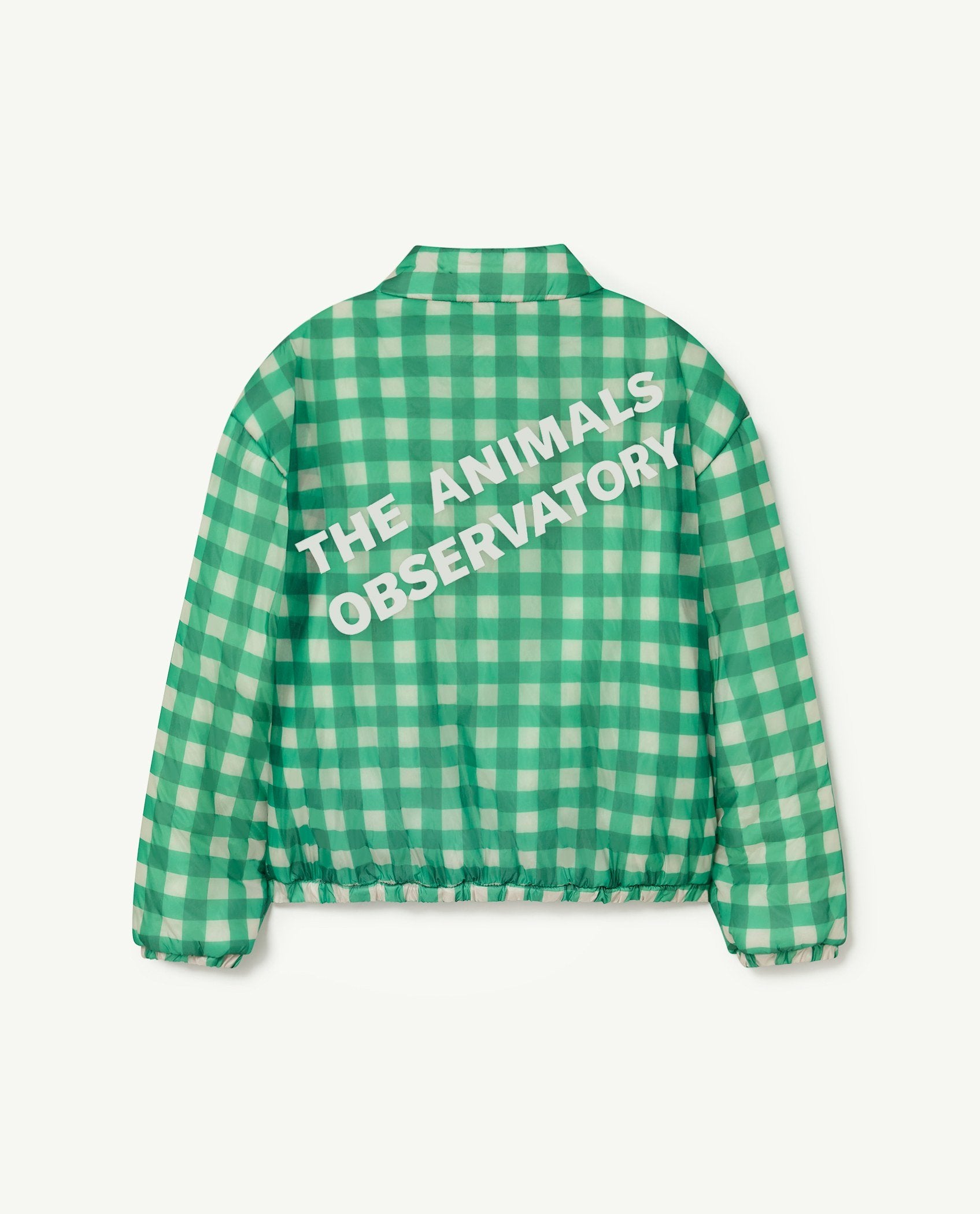 Green Crocodile Kids Jacket PRODUCT BACK