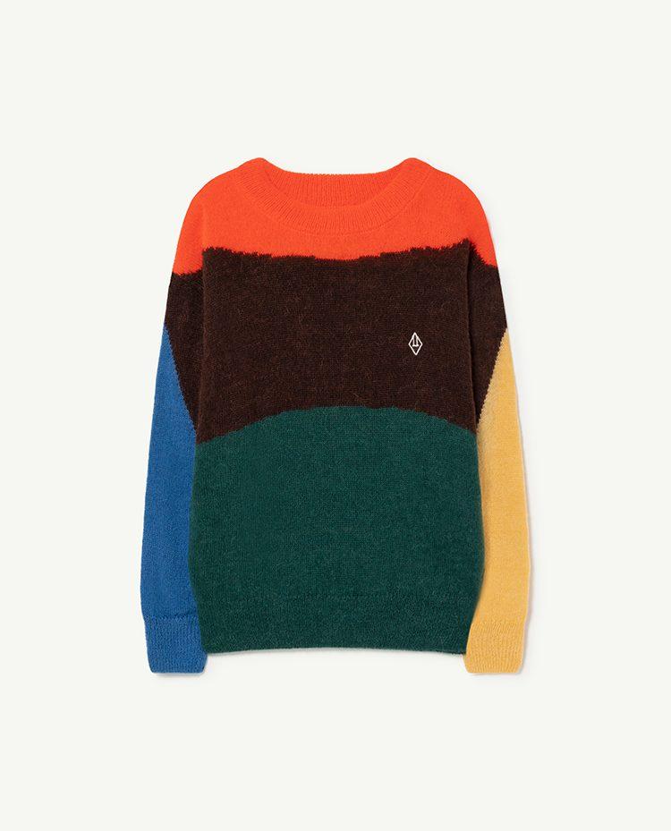 Multicolor Geo Bull Kids Sweater COVER