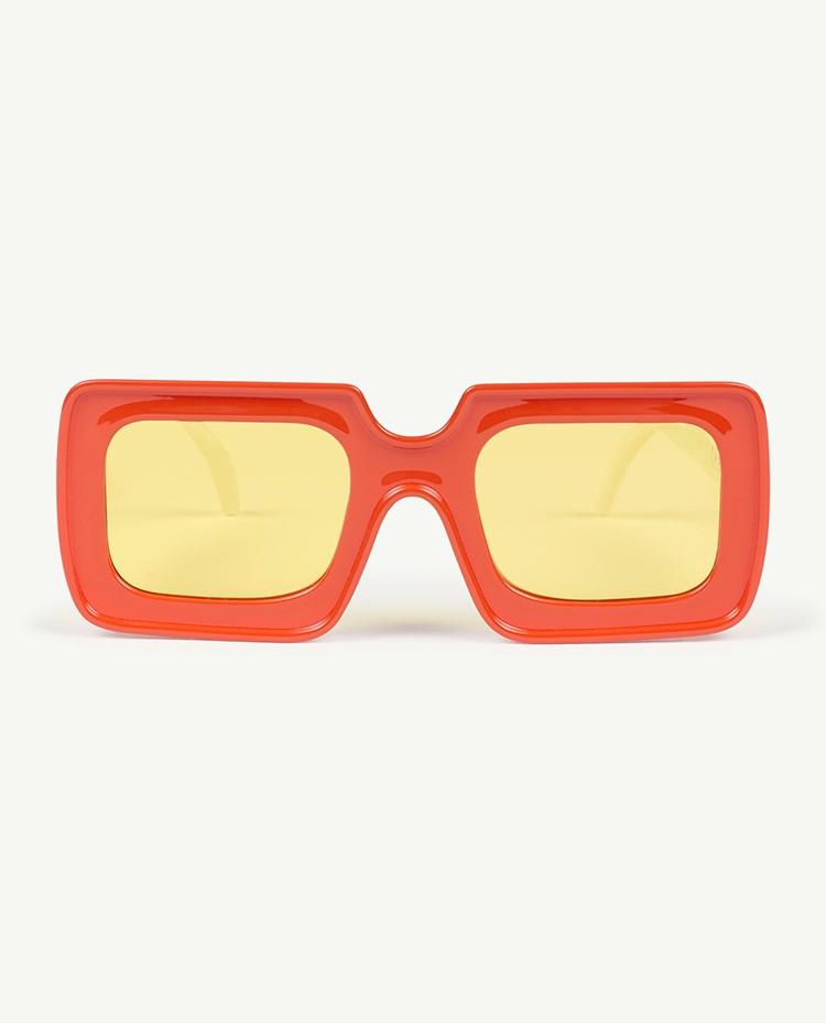 Orange Onesize Sunglasses COVER