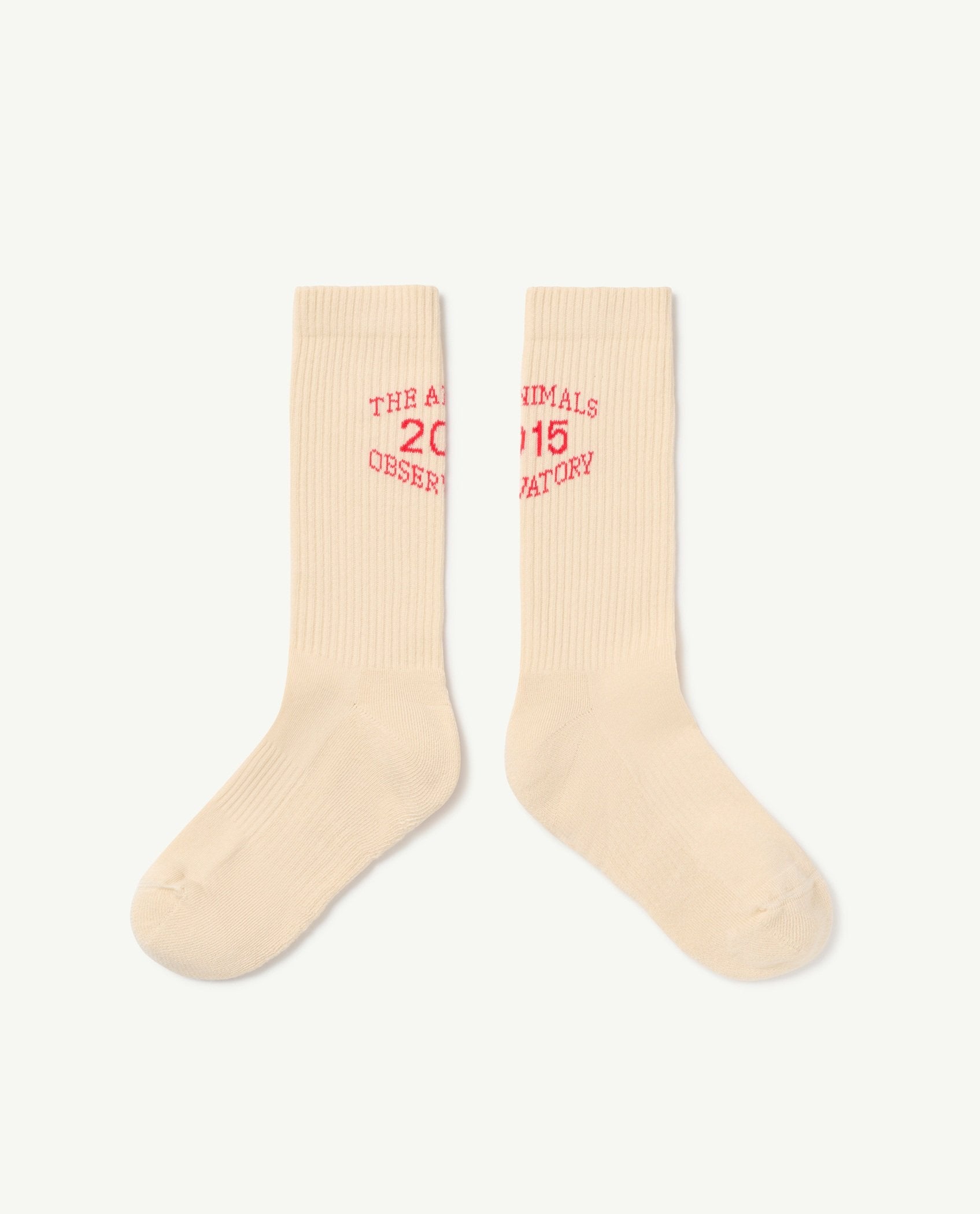 White Worm Adult Socks PRODUCT FRONT