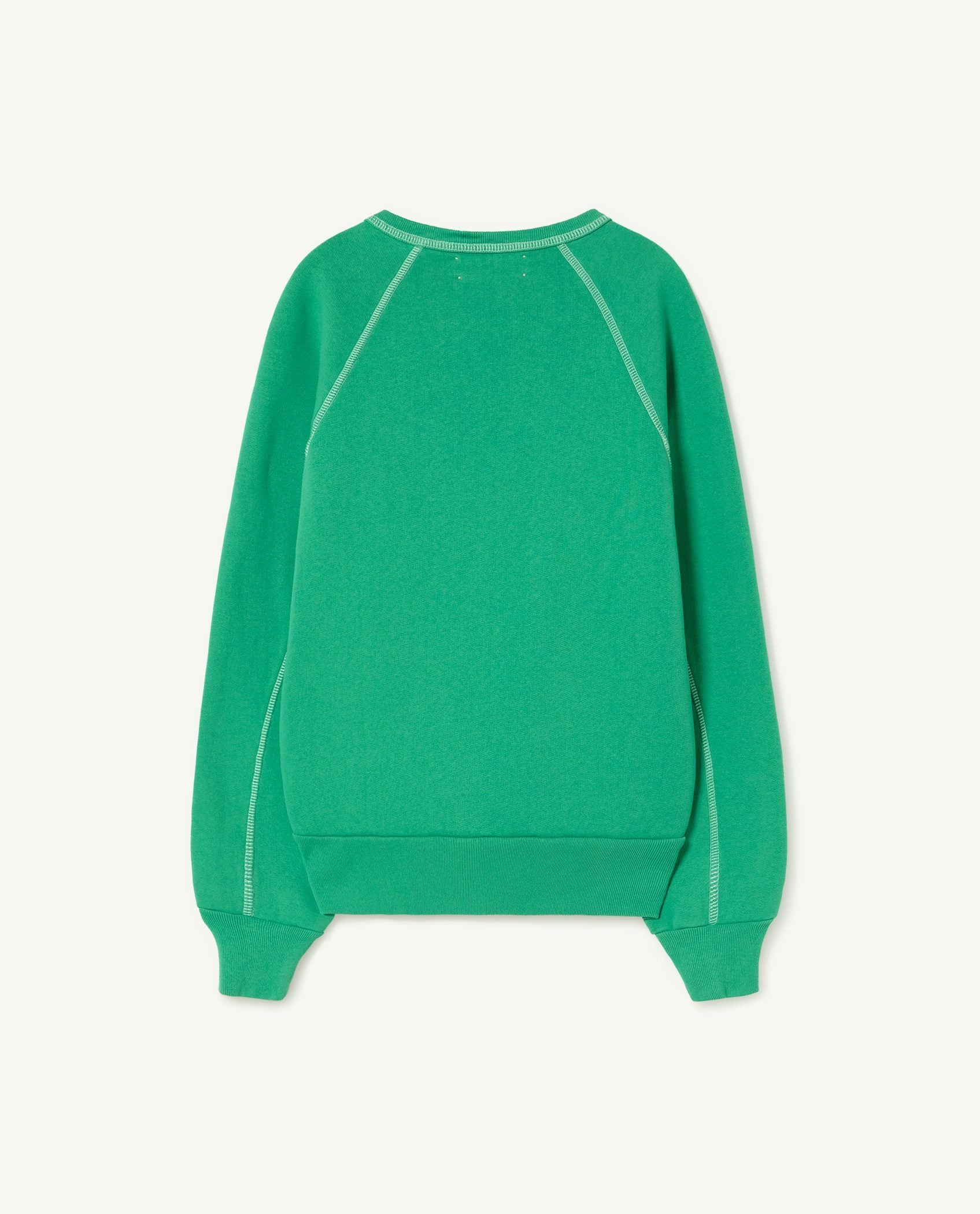 Green Shark Sweatshirt PRODUCT BACK