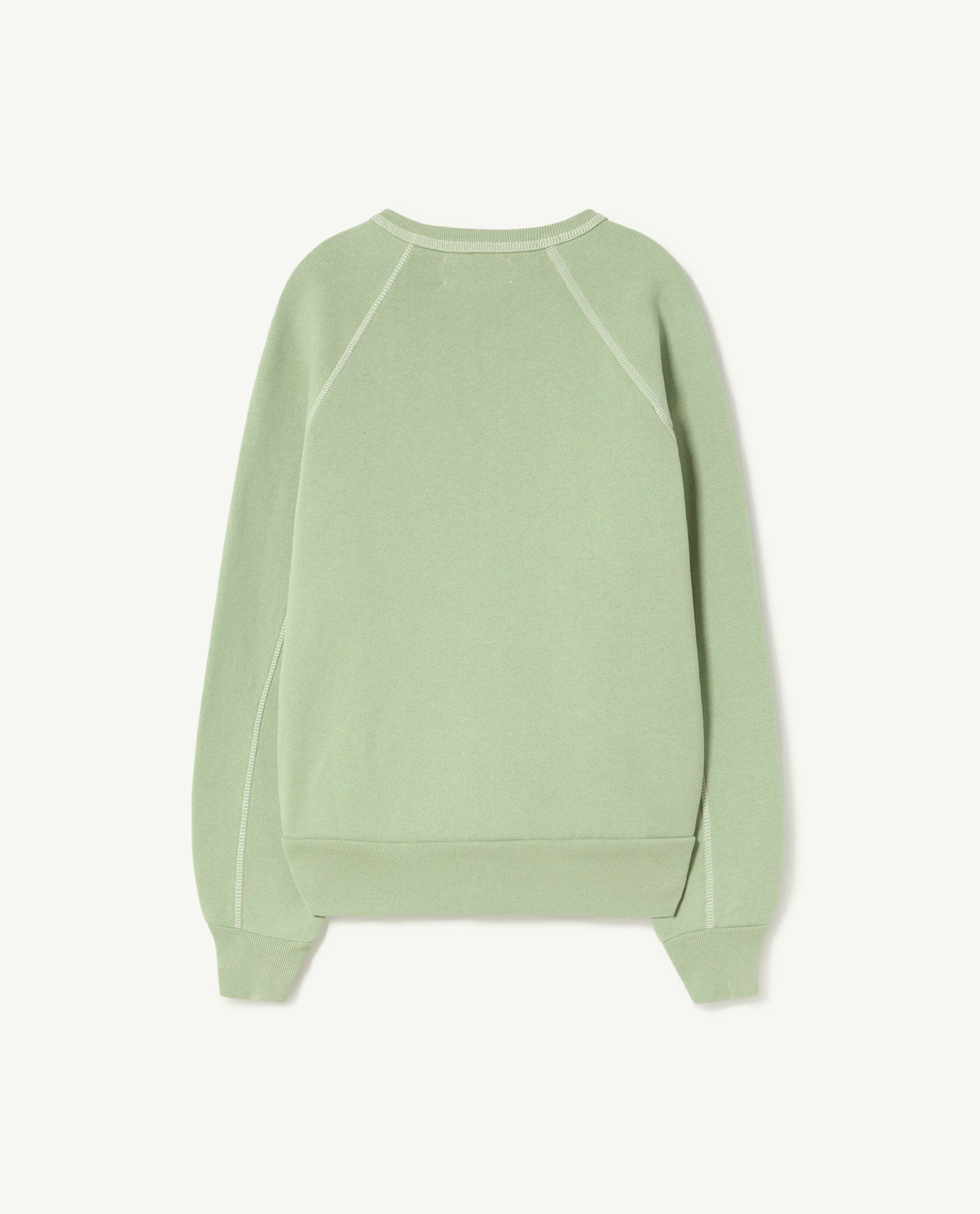 Soft Green Shark Sweatshirt PRODUCT BACK
