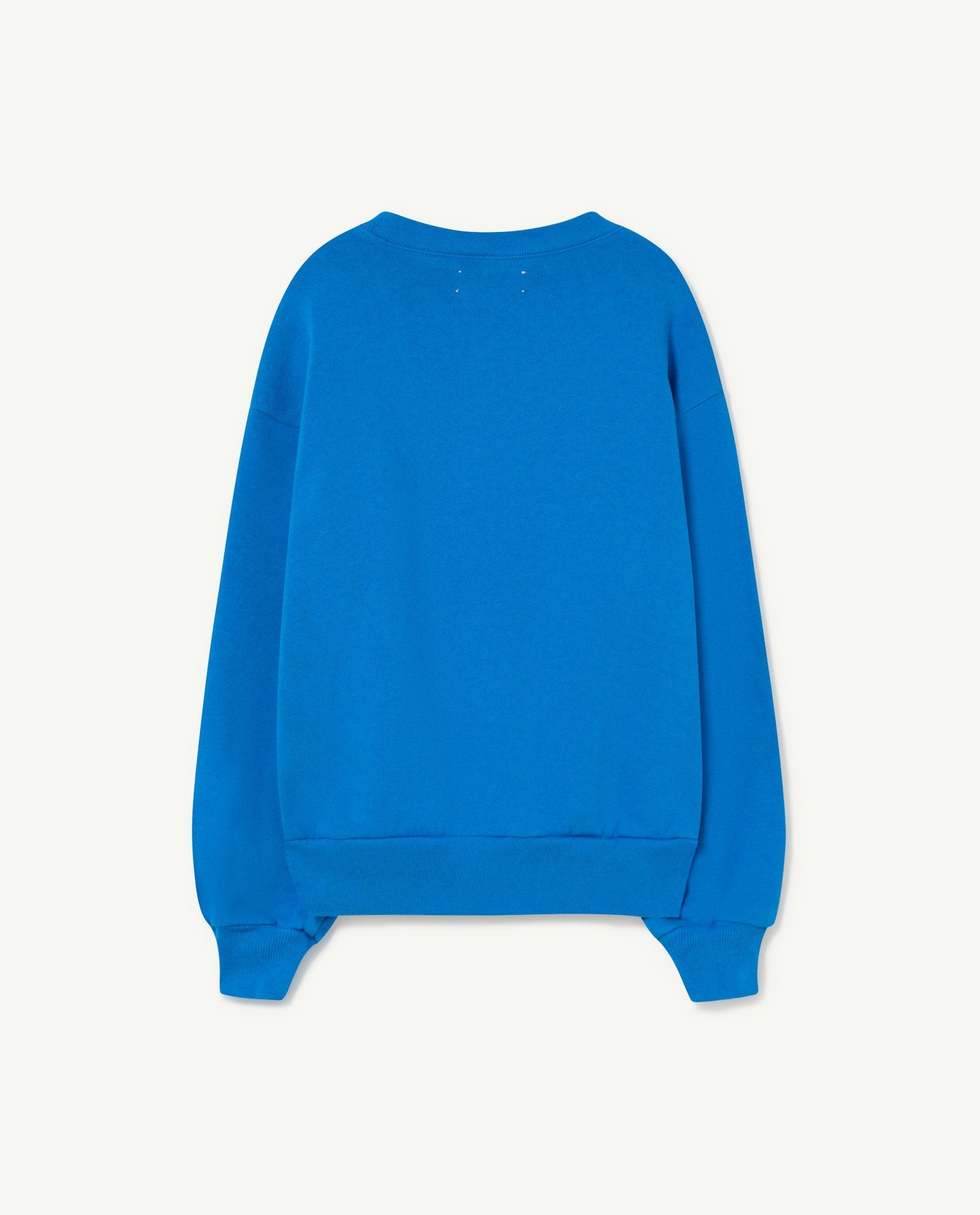 Blue Bear Sweatshirt PRODUCT BACK