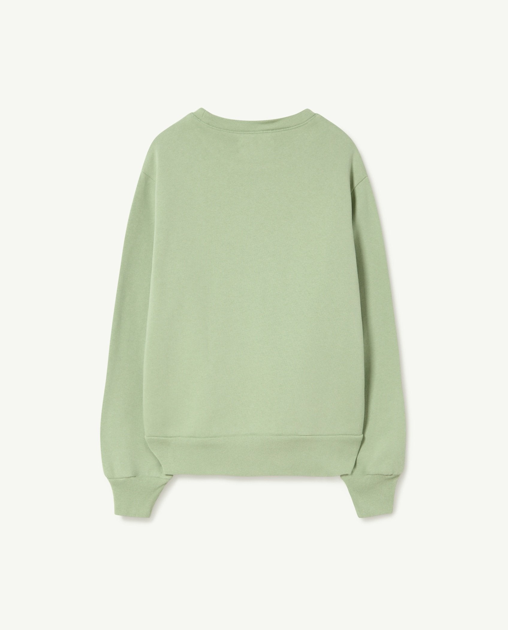 Soft Green Bear Sweatshirt PRODUCT BACK