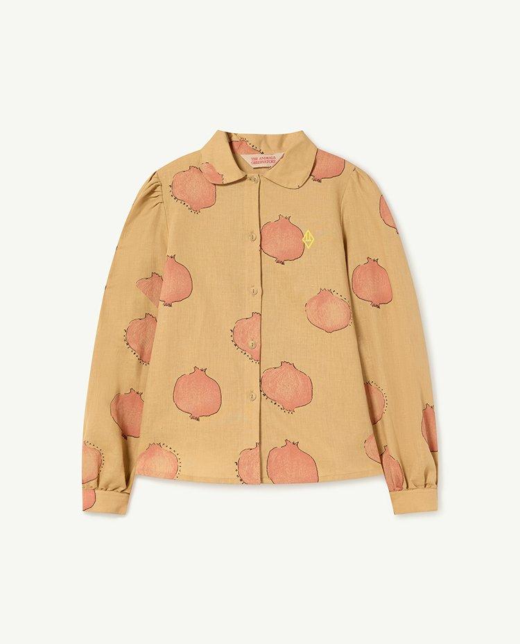 Brown Gadfly Blouse COVER