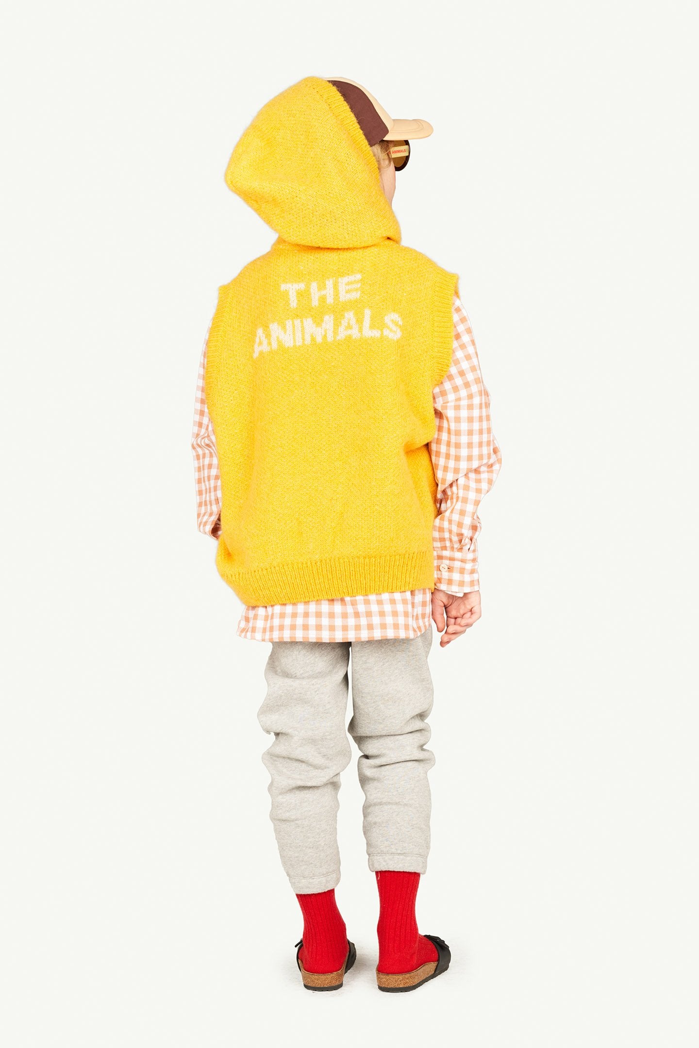 Brown Squares Wolf Shirt MODEL BACK