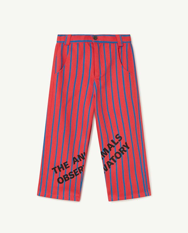Red Camel Pants COVER