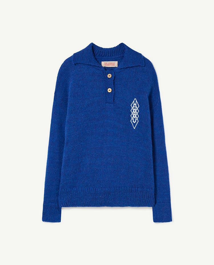 Blue Raven Sweater COVER