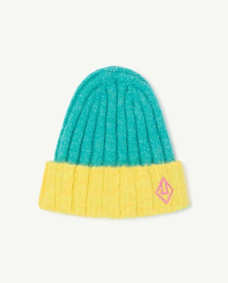 Turquoise Bicolor Pony Baby Beanie COVER