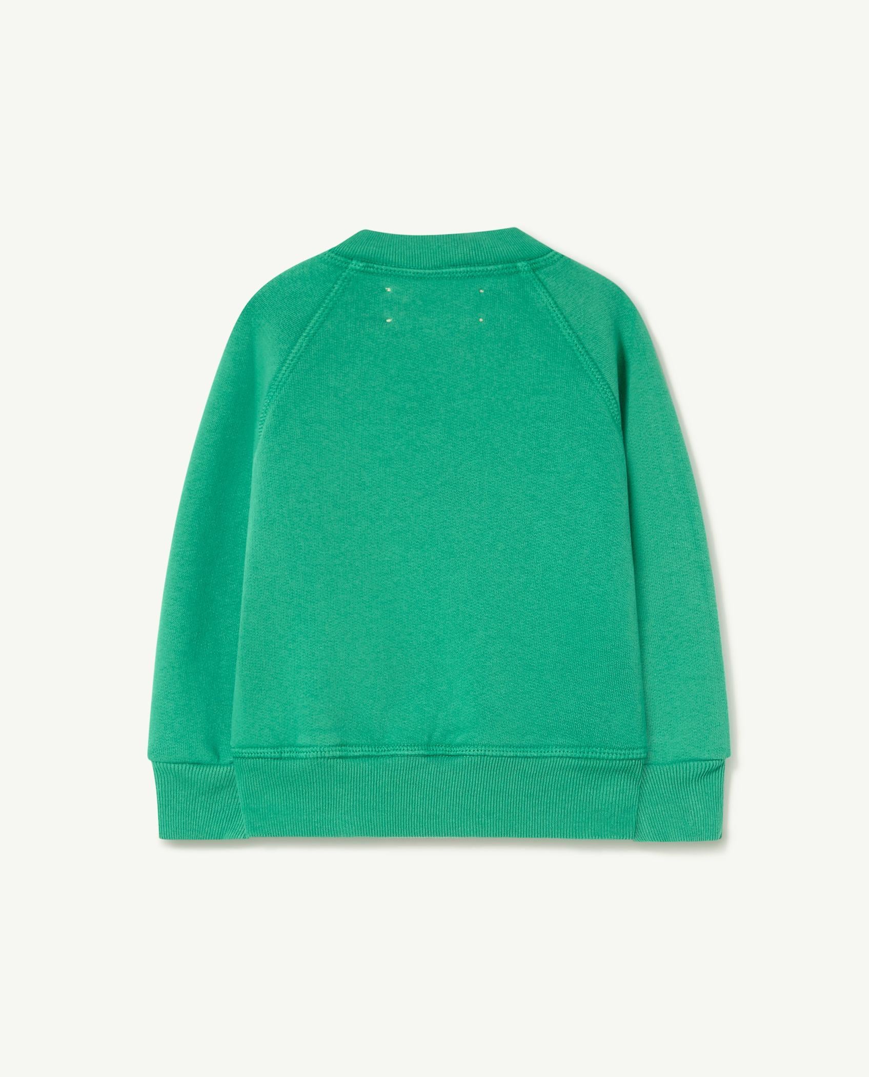 Green Shark Baby Sweatshirt PRODUCT BACK