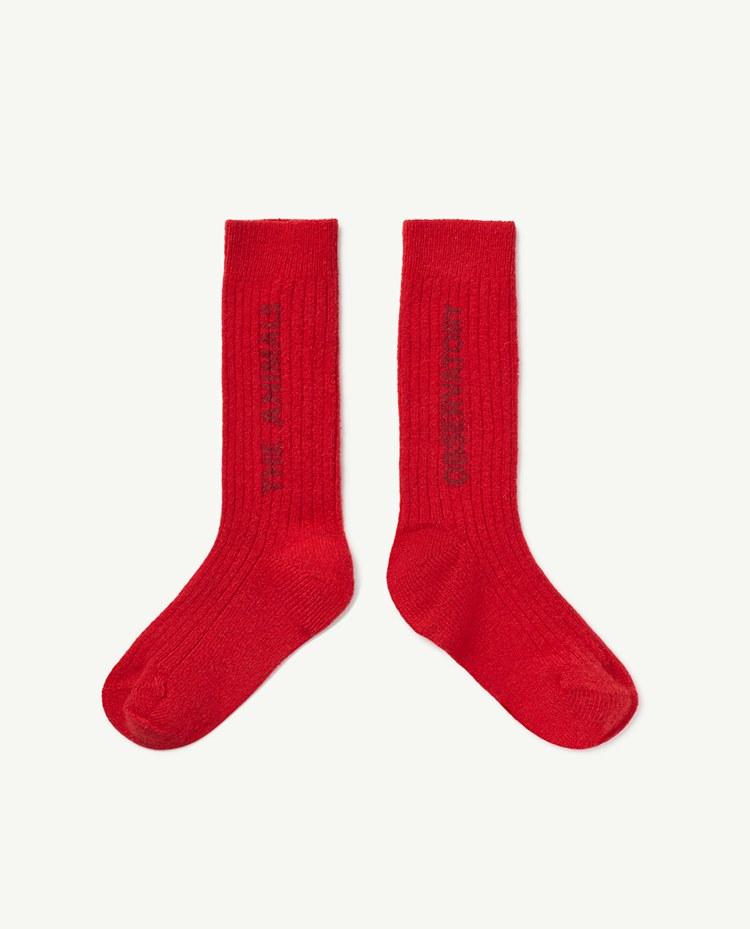 Red Snail Socks COVER