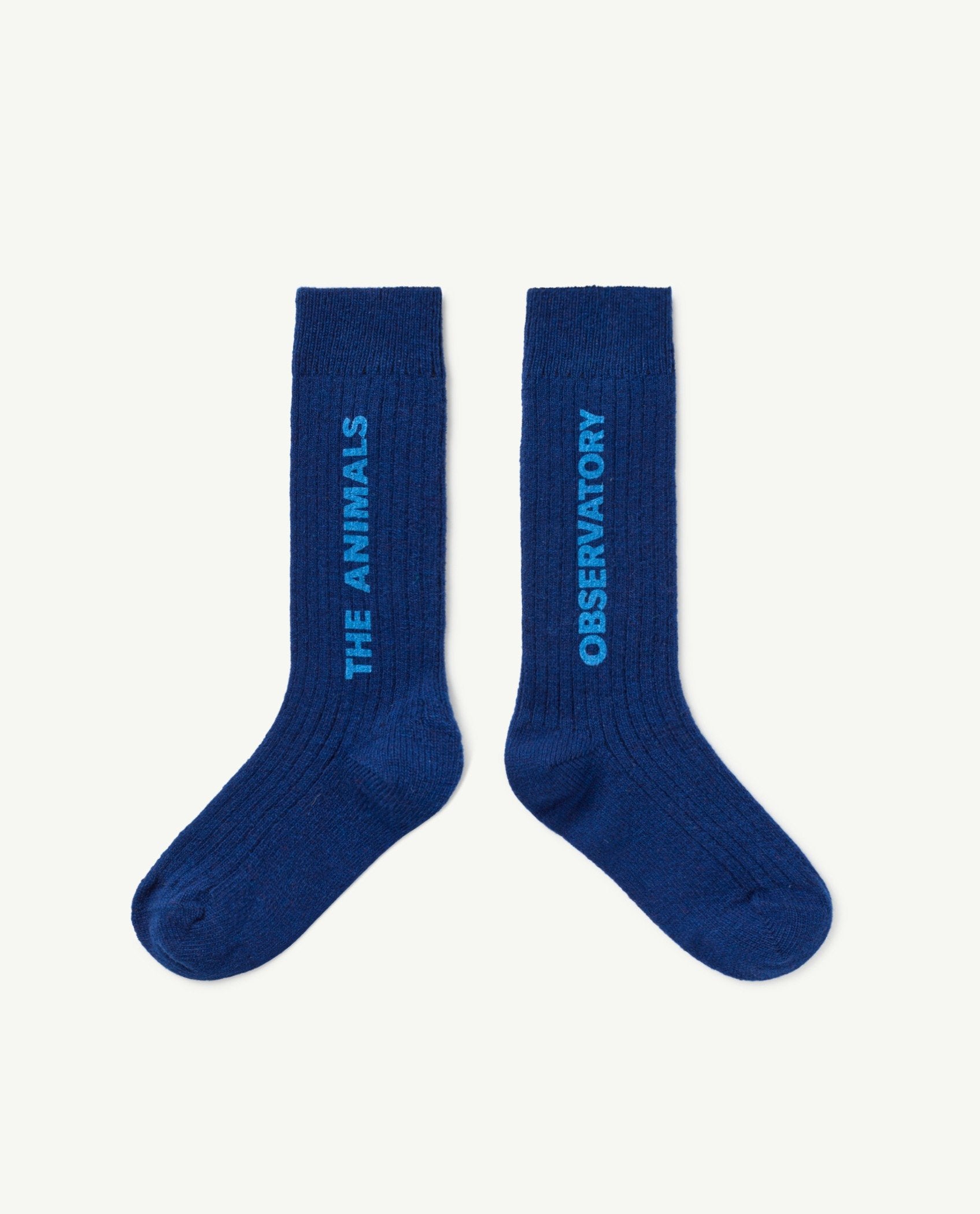 Blue Snail Socks PRODUCT FRONT