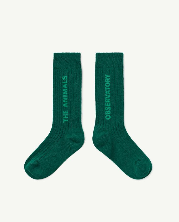 Green Snail Socks COVER