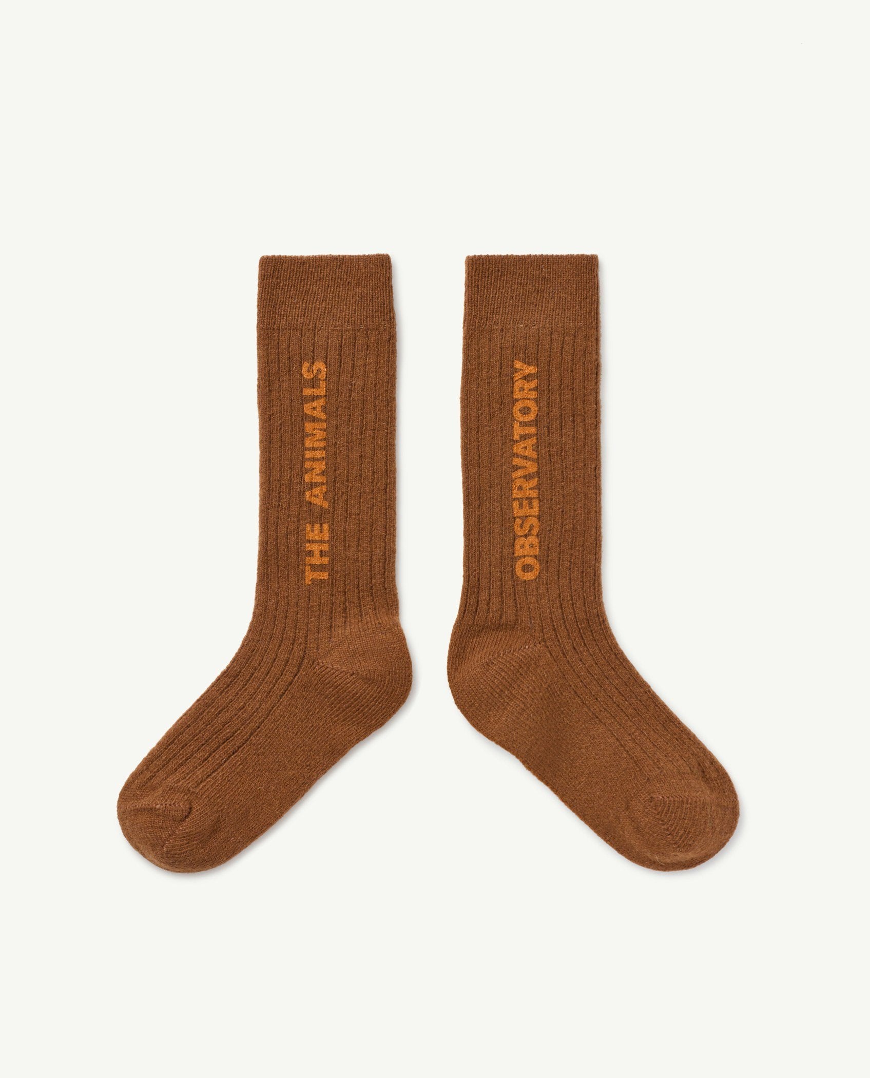 Brown Snail Socks PRODUCT FRONT