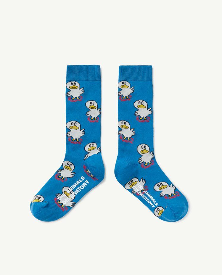 Blue Worm Socks COVER
